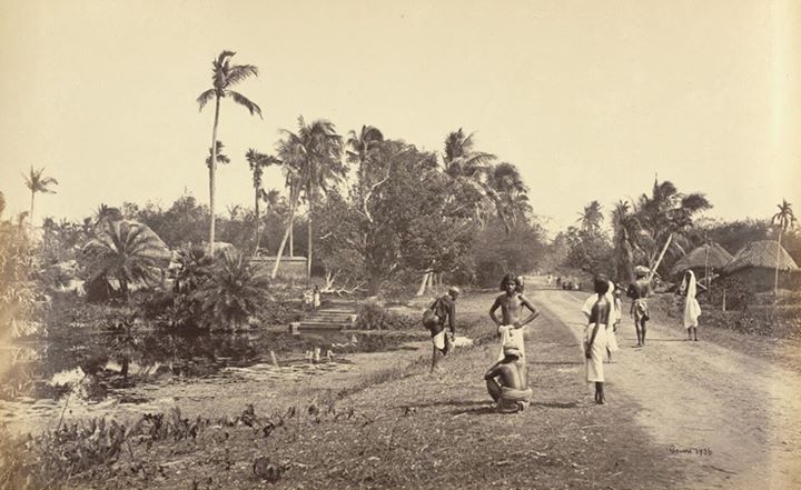 RBSI - Roadside view near Garden Reach, Calcutta - 1865 Photograph of ...